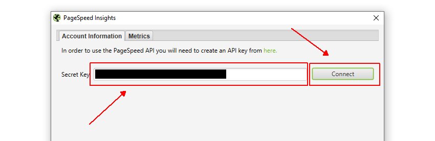 PageSpeed Insights API Key Connection